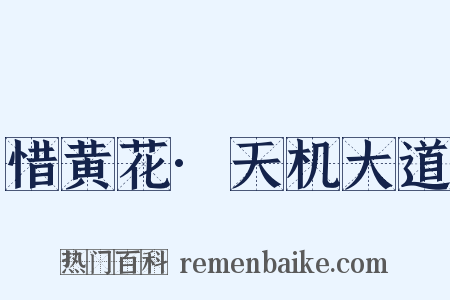 惜黄花·天机大道是什么意思的图片